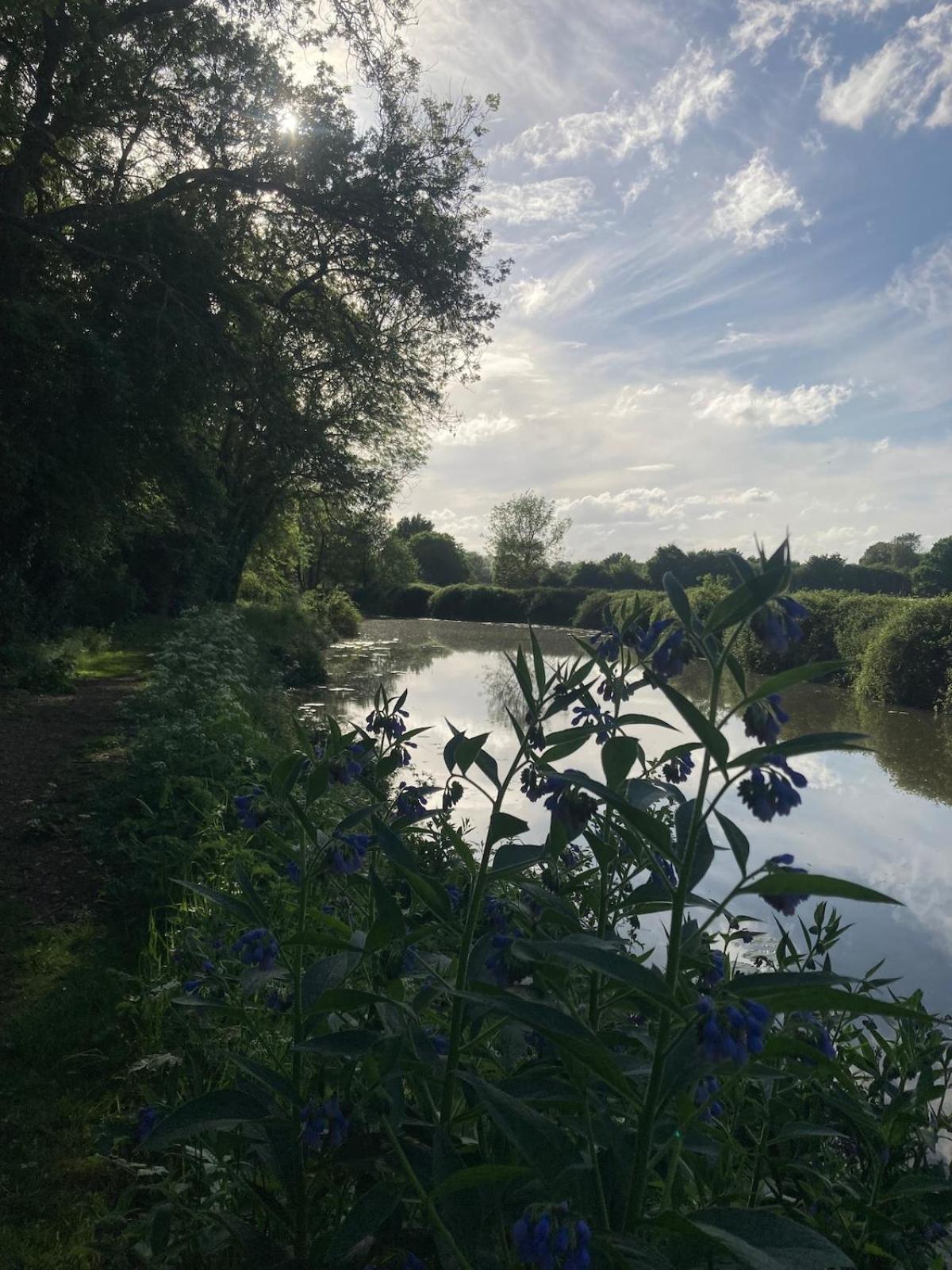 Dutch Cruiser Ship On A Tranquil Secluded River Tonbridge Eksteriør billede