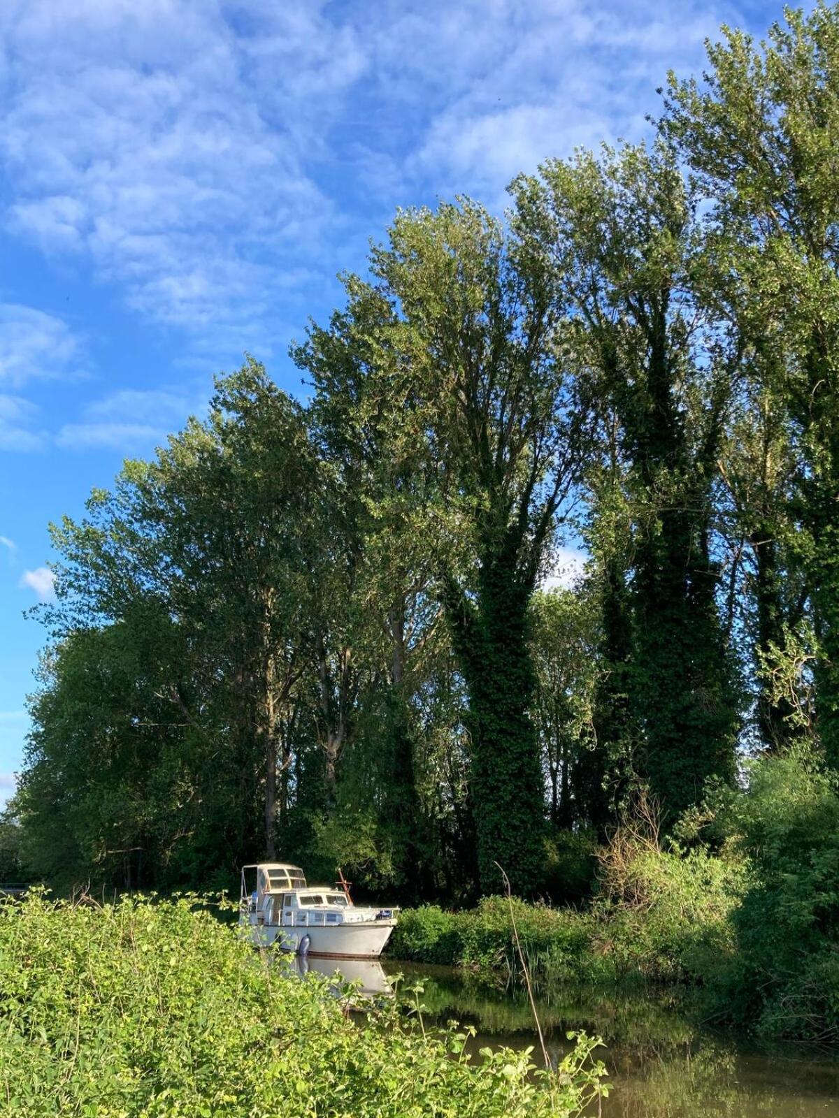 Dutch Cruiser Ship On A Tranquil Secluded River Tonbridge Eksteriør billede